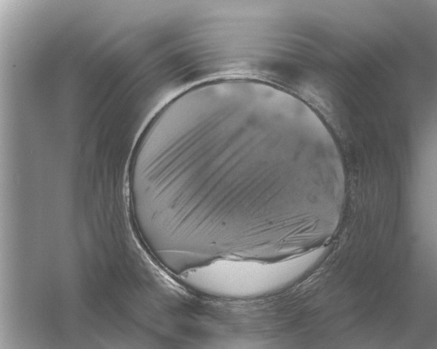 X0000058781428200510281959