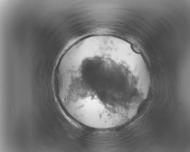 X0000058781429200510281959