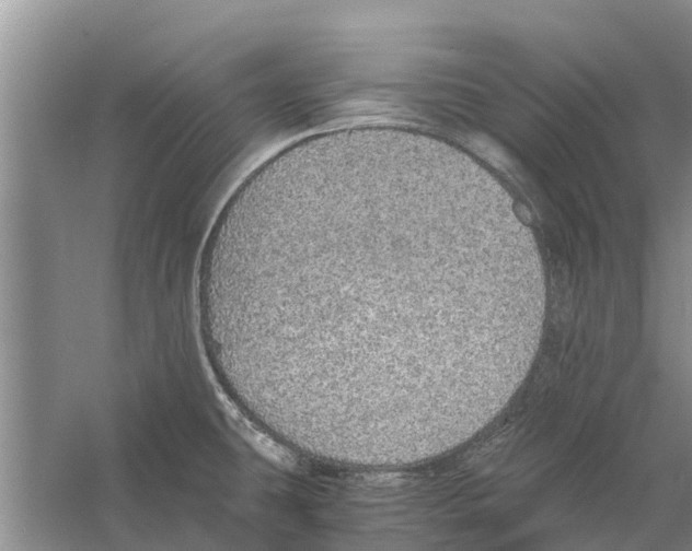 X0000058781431200510281959