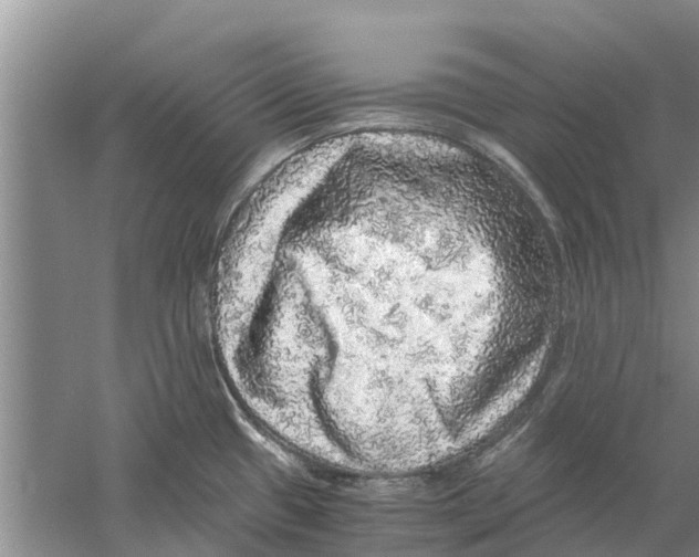 X0000058781433200510281959