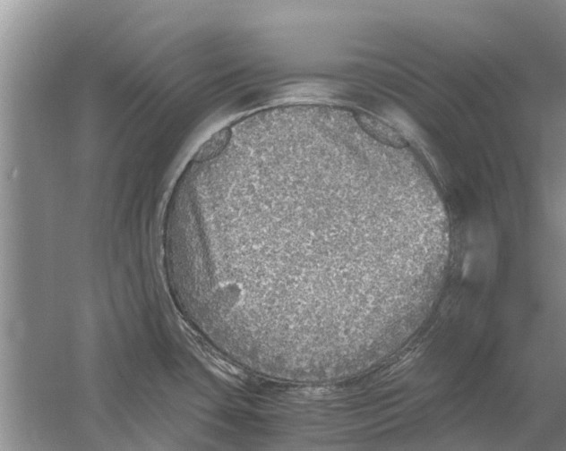 X0000058781435200510281959