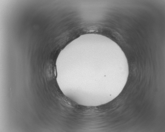 X0000058781442200510281958