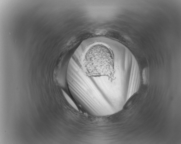 X0000058781443200510281958