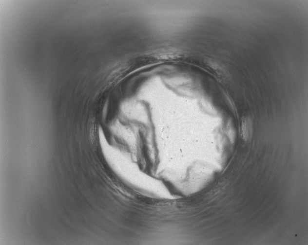 X0000058781444200510281958