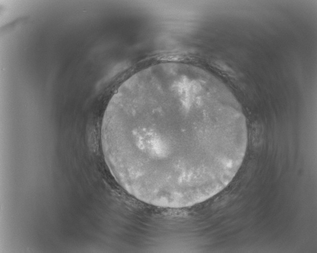 X0000058781446200510281958