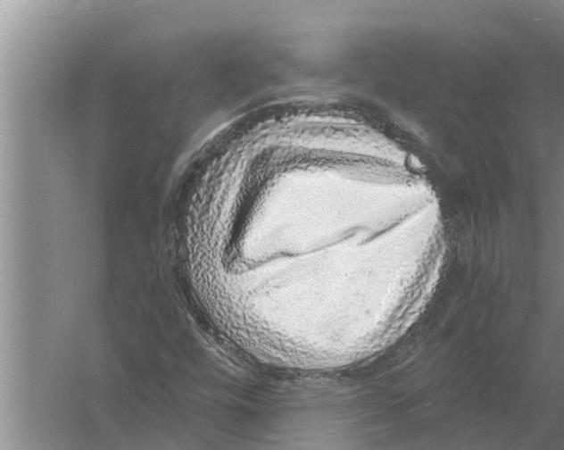 X0000058781448200510281958