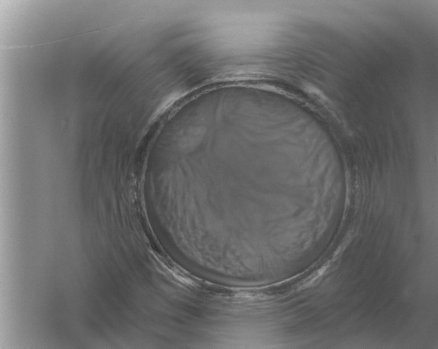 X0000058781449200510281958