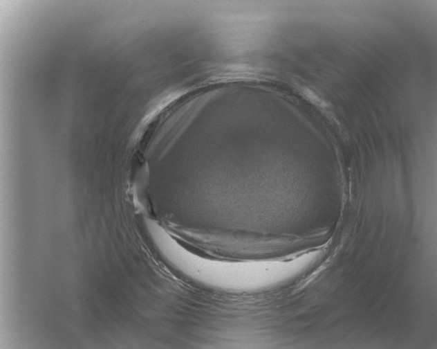 X0000058781453200510281958