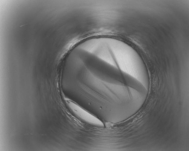 X0000058781455200510281958