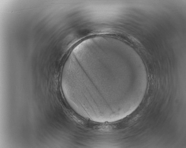 X0000058781457200510281958