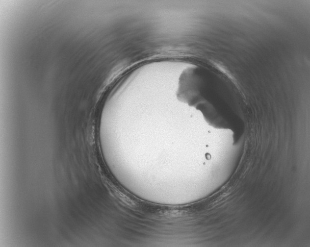 X0000058781459200510281958