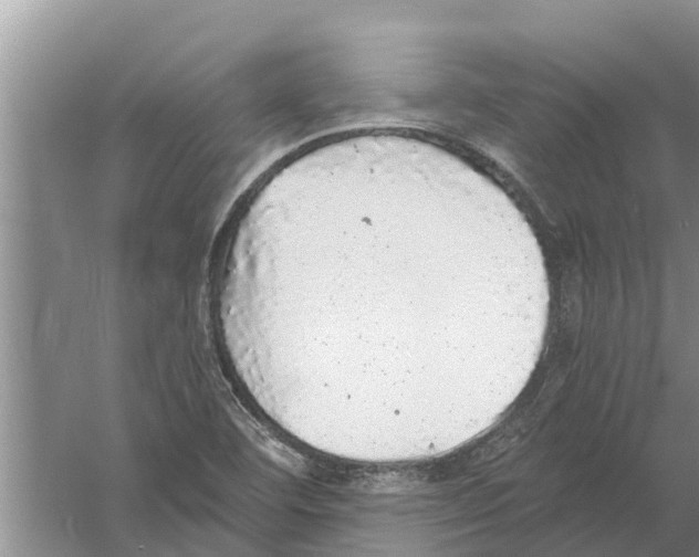 X0000058781460200510281958