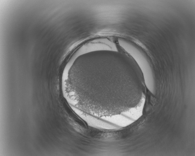 X0000058781461200510281958