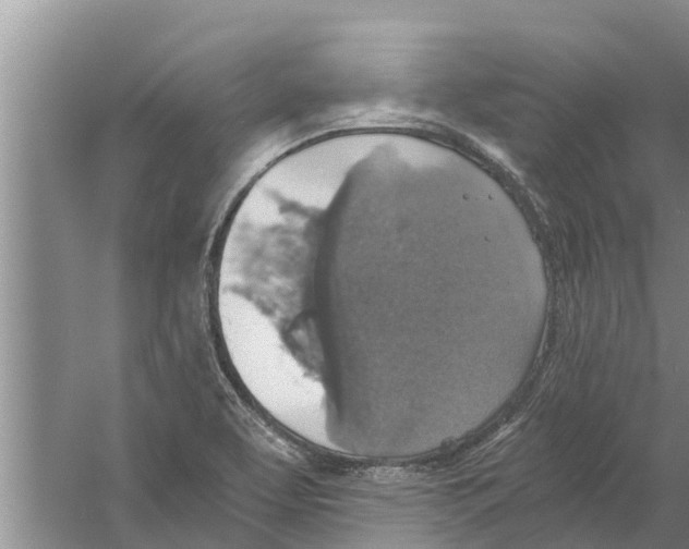 X0000058781463200510281958