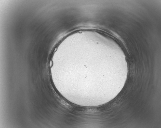 X0000058781464200510281958