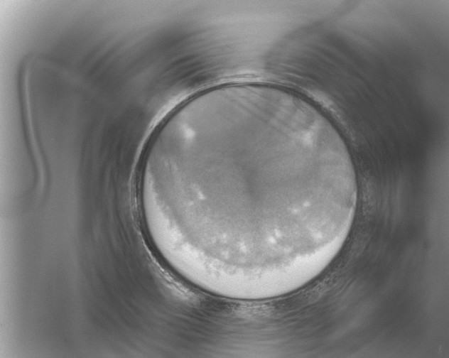 X0000058781466200510281958