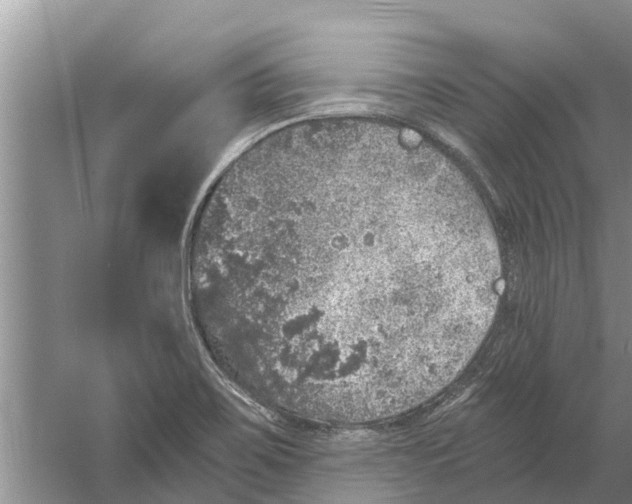 X0000058781467200510281958