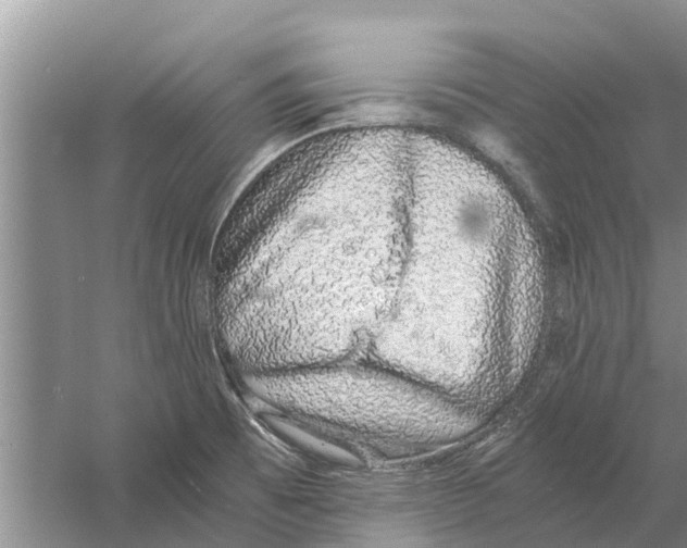 X0000058781473200510281958