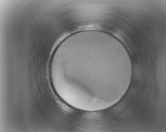 X0000058781474200510281958