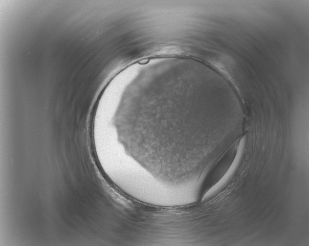 X0000058781475200510281958