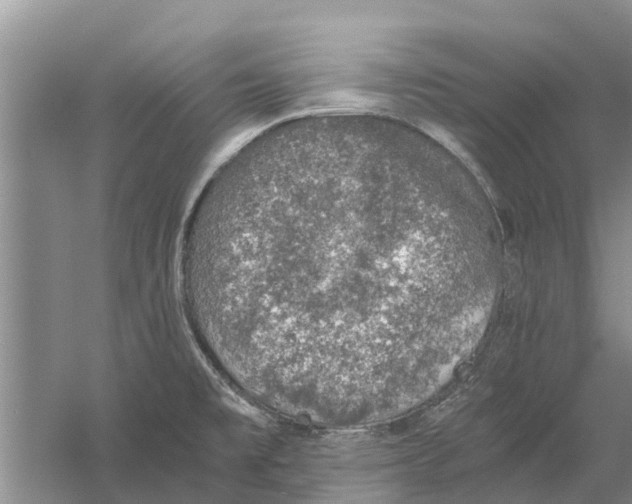 X0000058781477200510281958