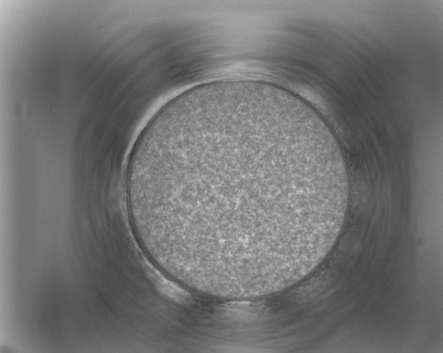 X0000058781478200510281958