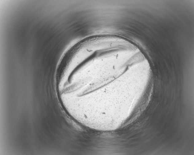 X0000058781480200510281958