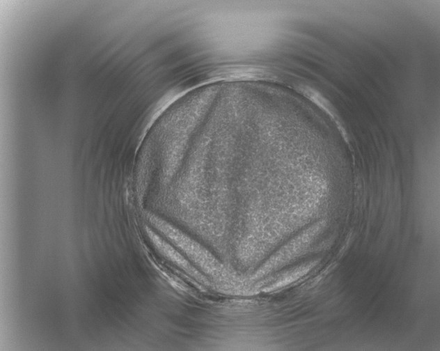 X0000058781481200510281958