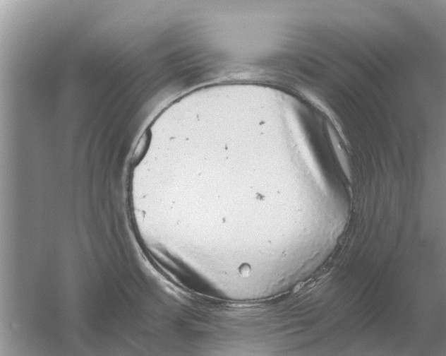 X0000058781483200510281958