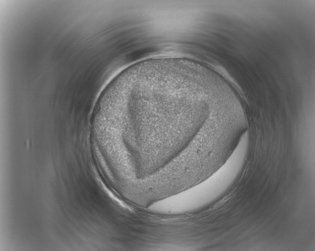 X0000058781484200510281958