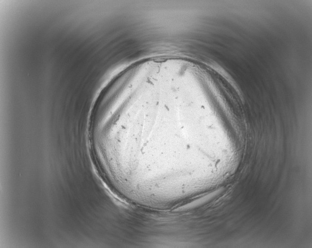 X0000058781485200510281958