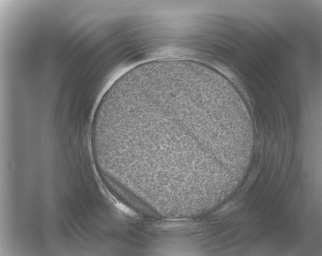 X0000058781486200510281958