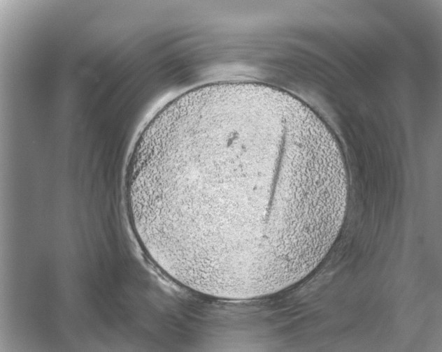 X0000058781488200510281958