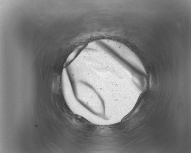 X0000058781492200510281957