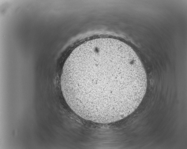 X0000058781495200510281957