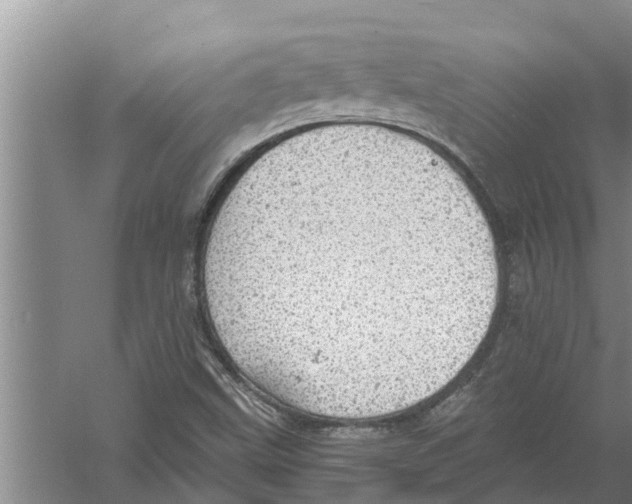 X0000058781499200510281957