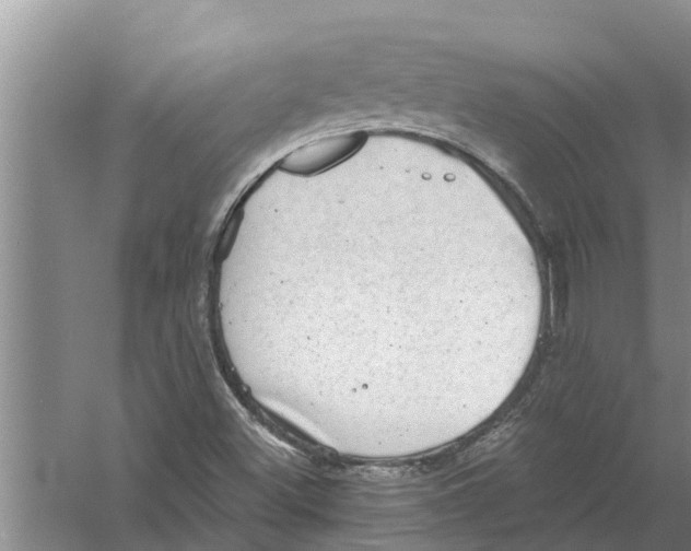 X0000058781500200510281957