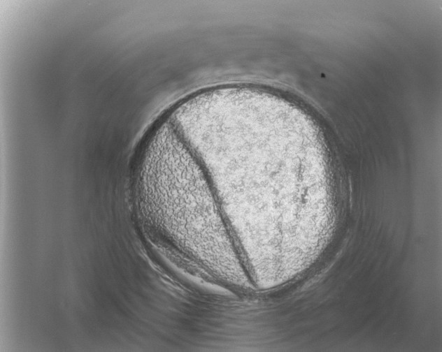 X0000058781501200510281957