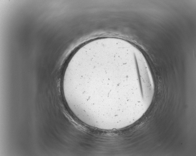 X0000058781503200510281957