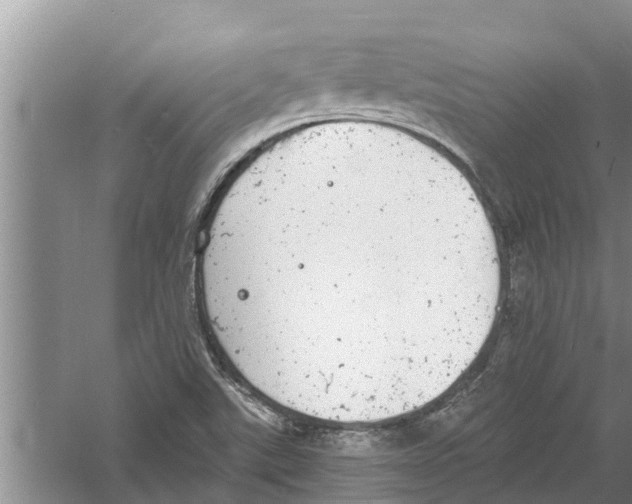 X0000058781507200510281957