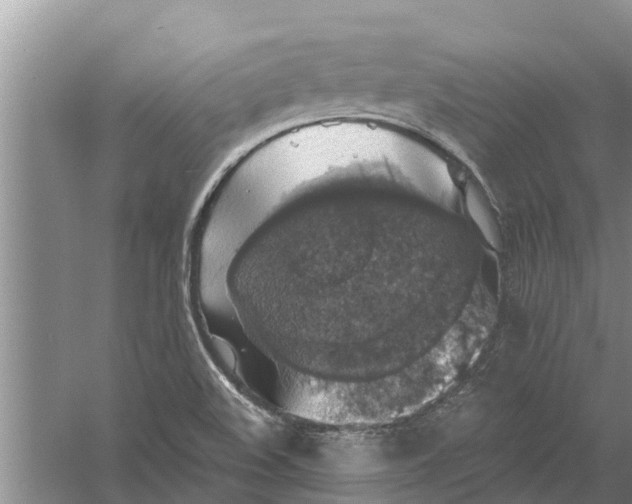 X0000058781508200510281957