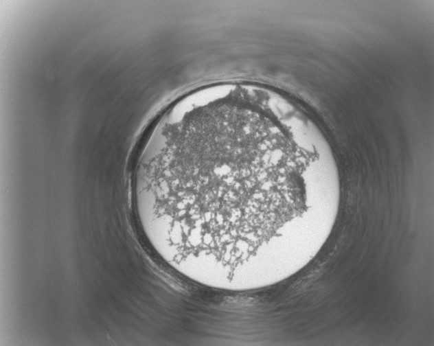 X0000058781509200510281957