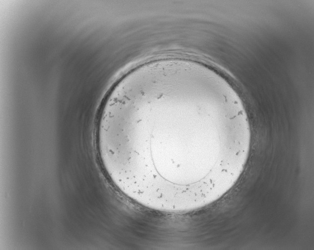 X0000058781514200510281957