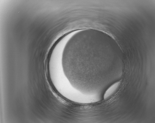 X0000058781515200510281957