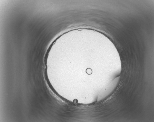 X0000058781518200510281957