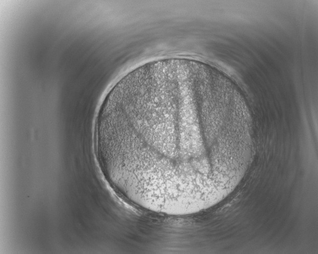 X0000058781520200510281957