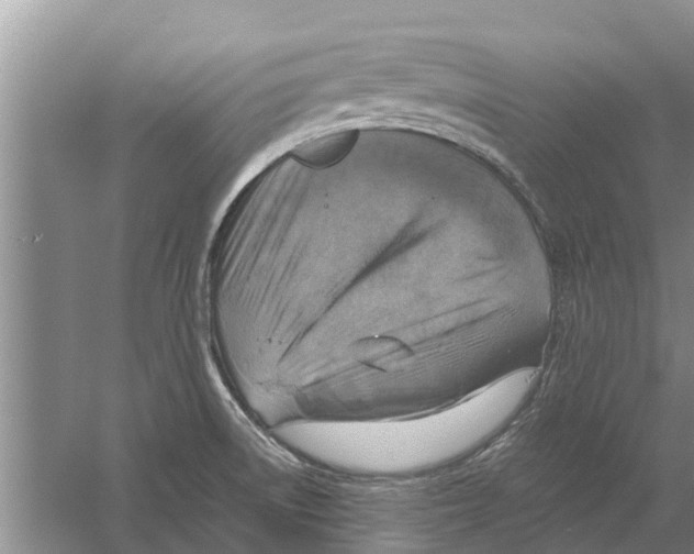 X0000058781522200510281957