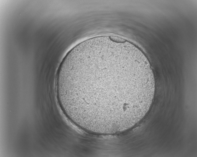 X0000058781526200510281957