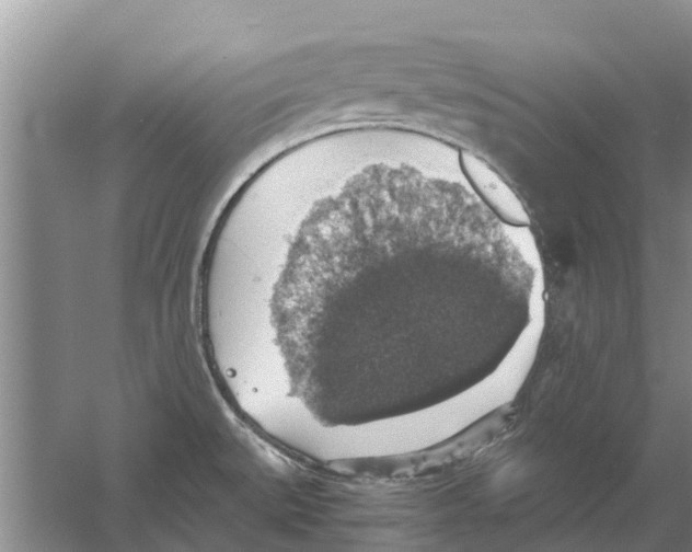 X0000058781527200510281957