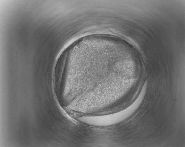 X0000058781528200510281957